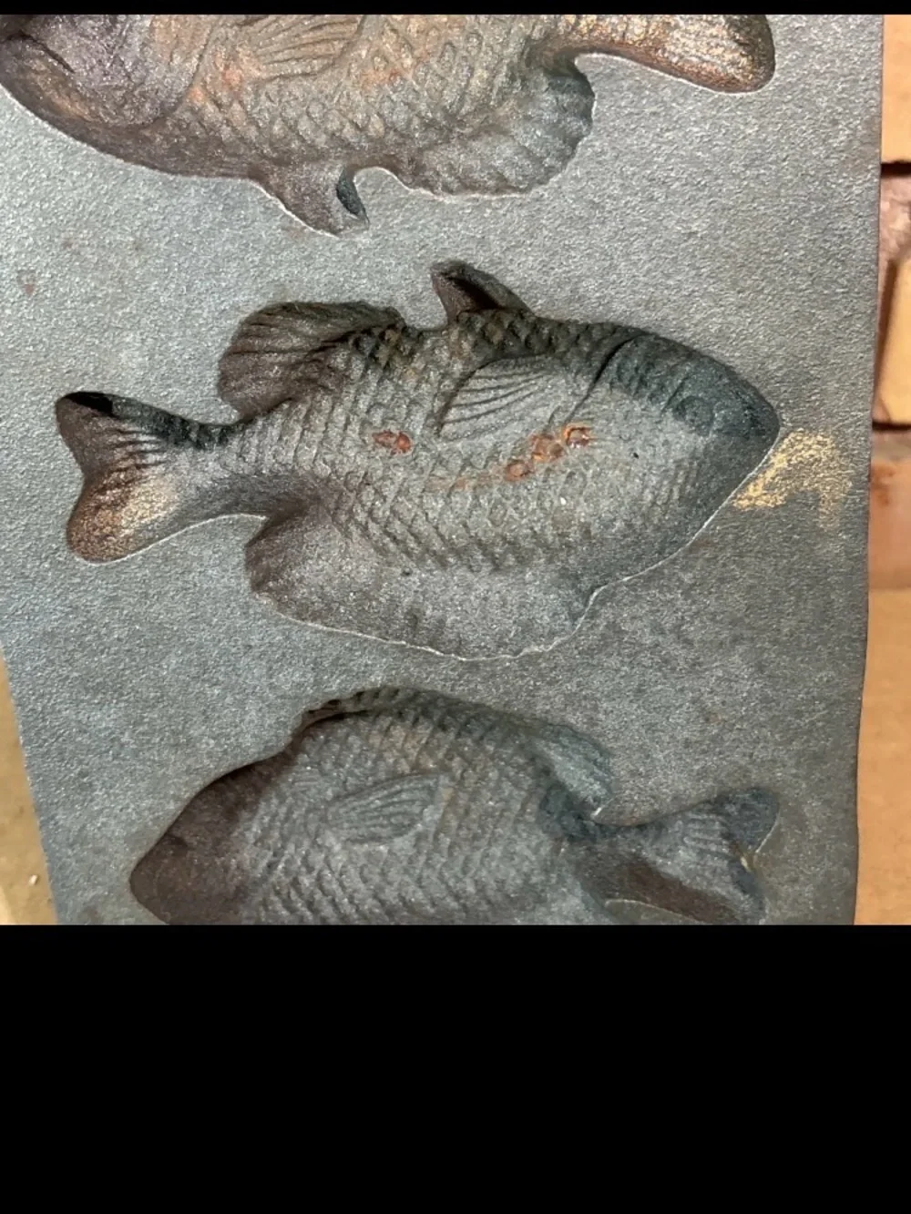 Lodge Cast Iron Perch Pan 5 Fish Mold Cornbread Bakeware 5PP2 Vintage Style